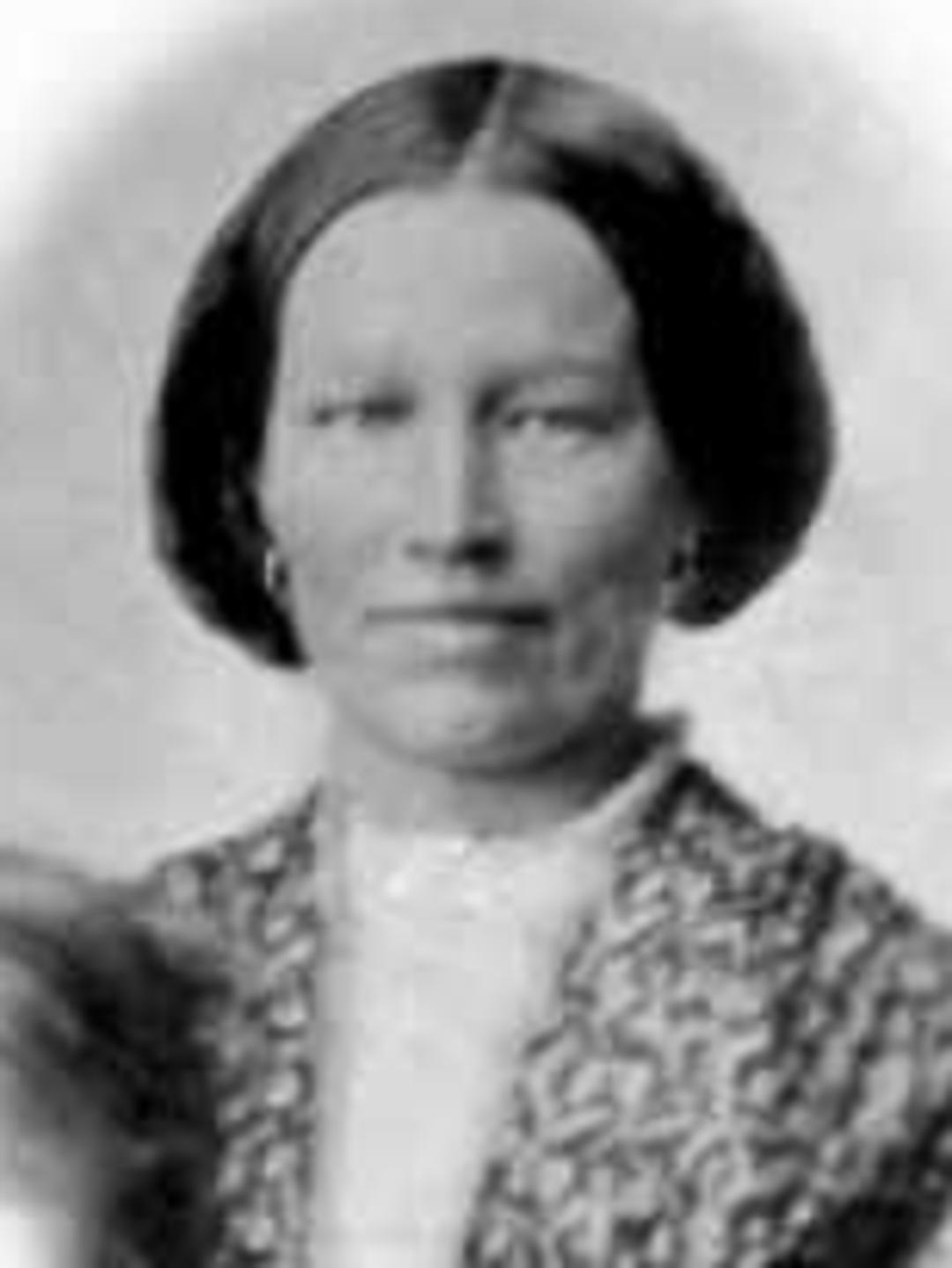 Harriet Wright (1830 - 1913) Profile